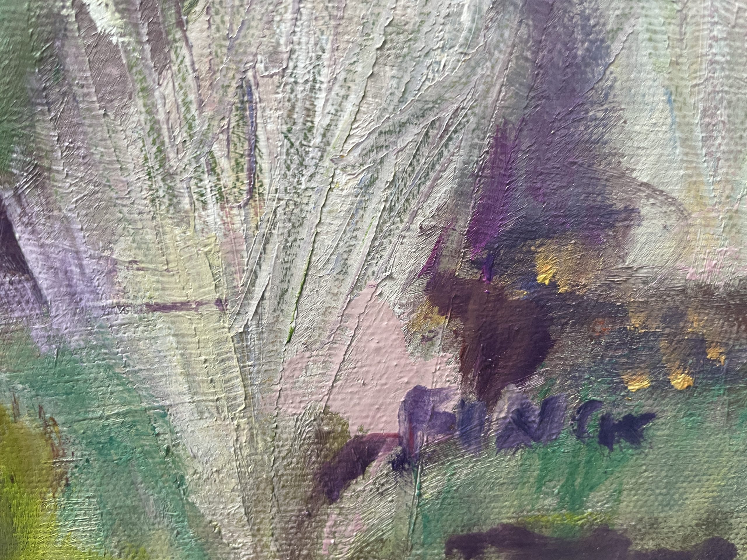 Eucalyptus Tree Signature