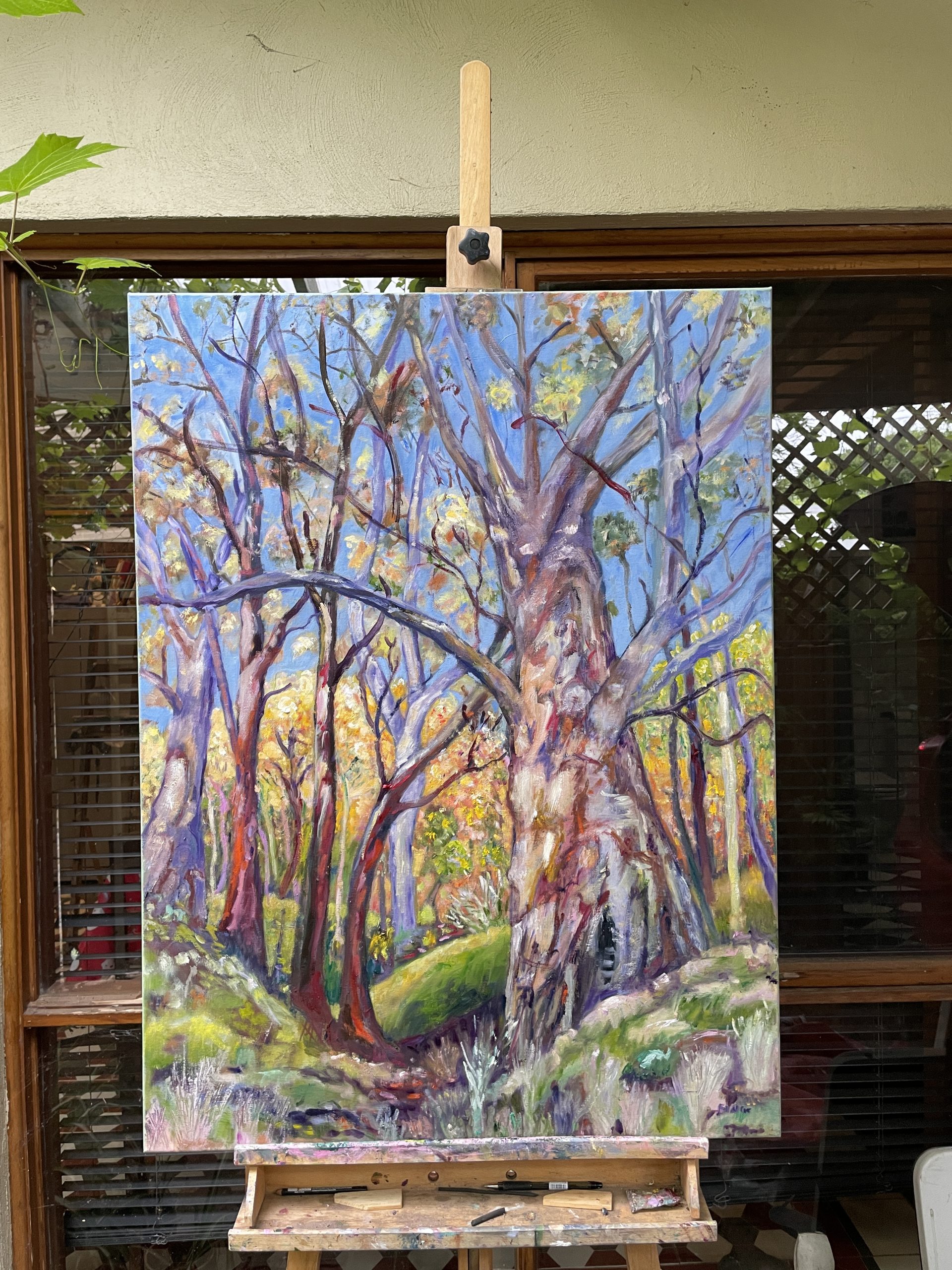 Eucalyptus Tree Studio View