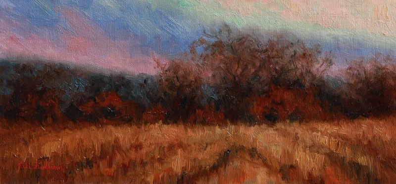 Evening field at dusk