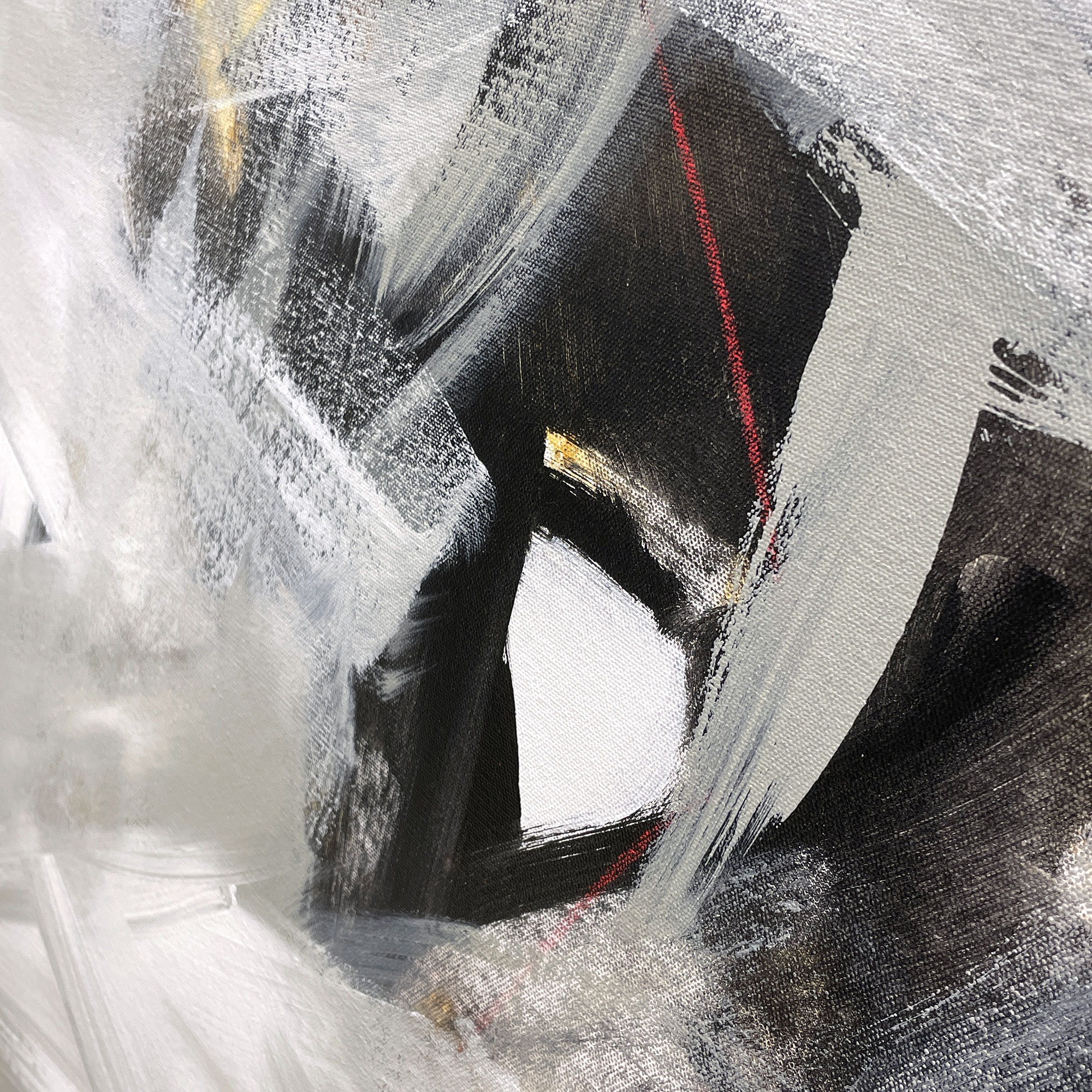 Cloud Dancer Cheryl Harrison B