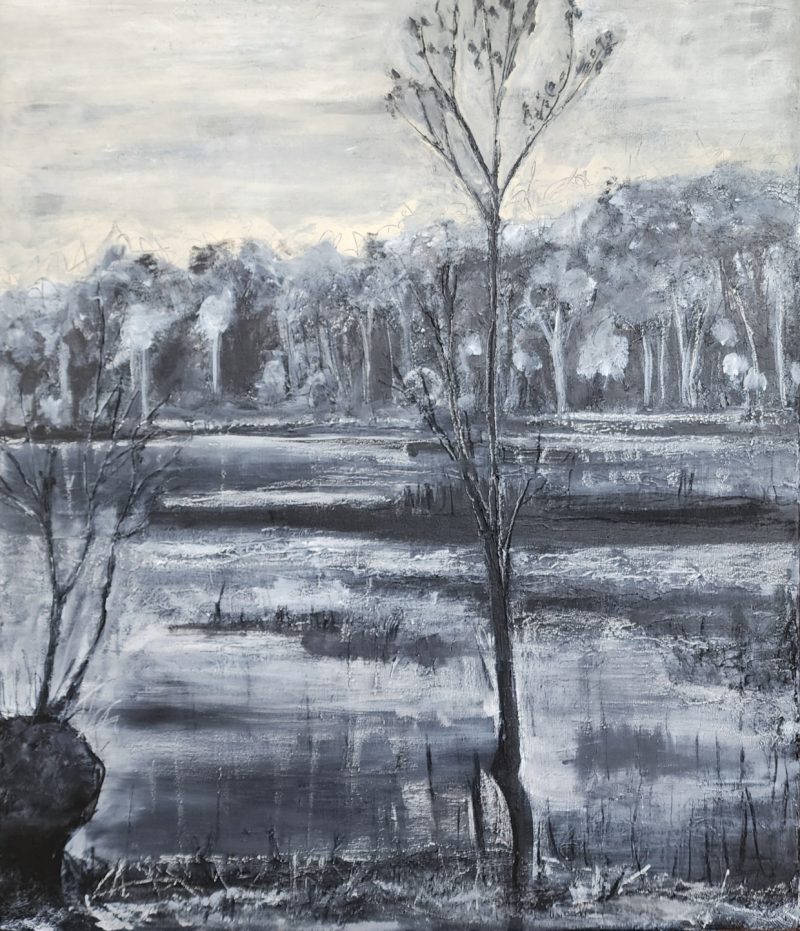 Old Country 3: Lake Couridjah, Where the Magic Happens