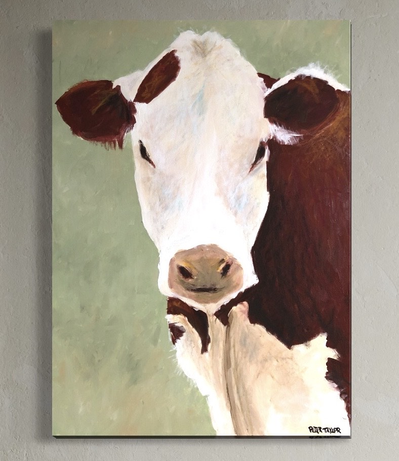 What moo looking at?