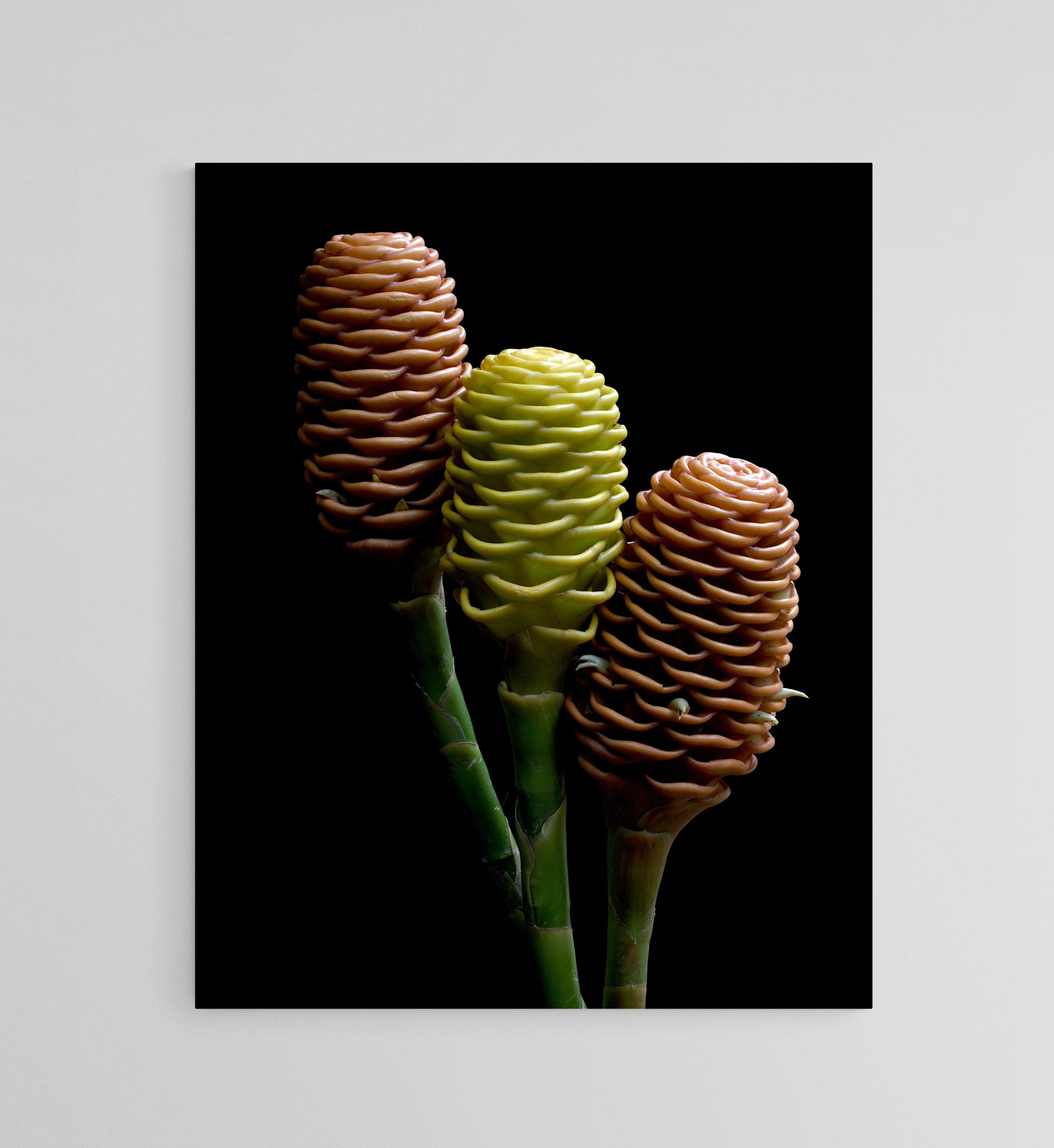 Empty Room 2025 12 11t143419.147