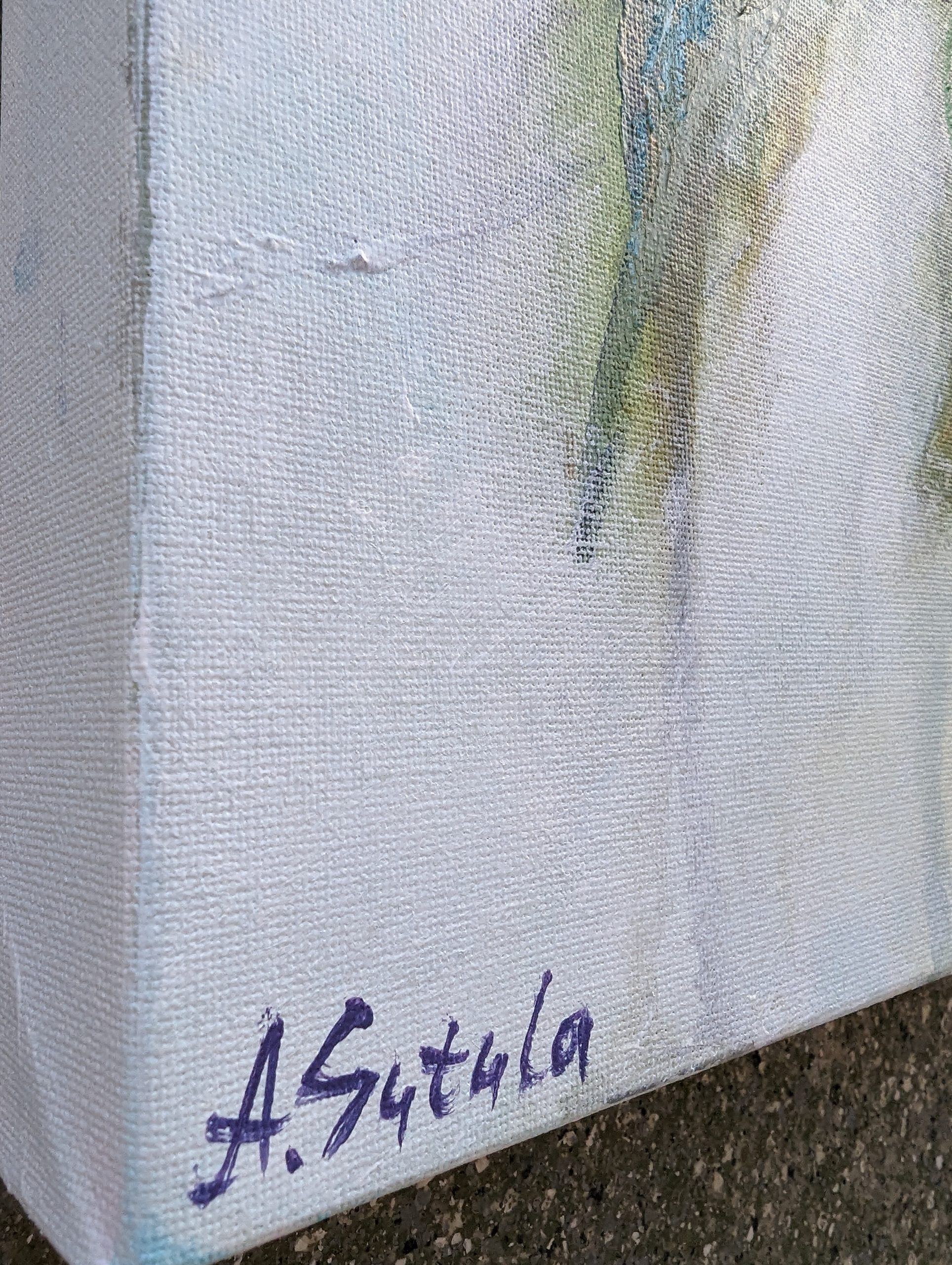 Pxl 20241227 055438985