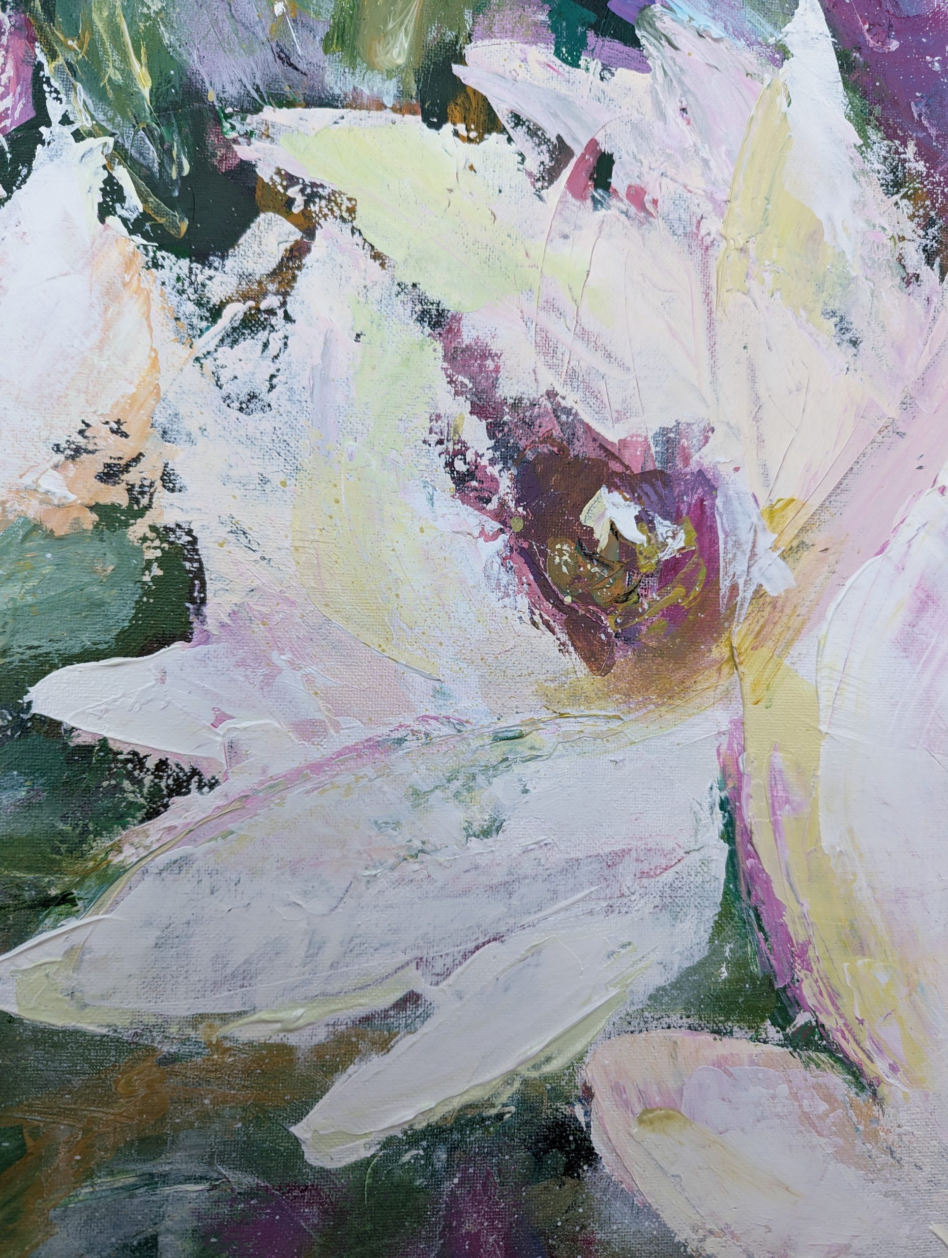 Pxl 20241210 051149227