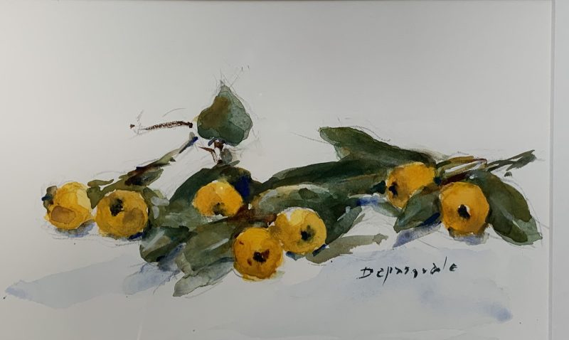 Little gems, Nespoli 2