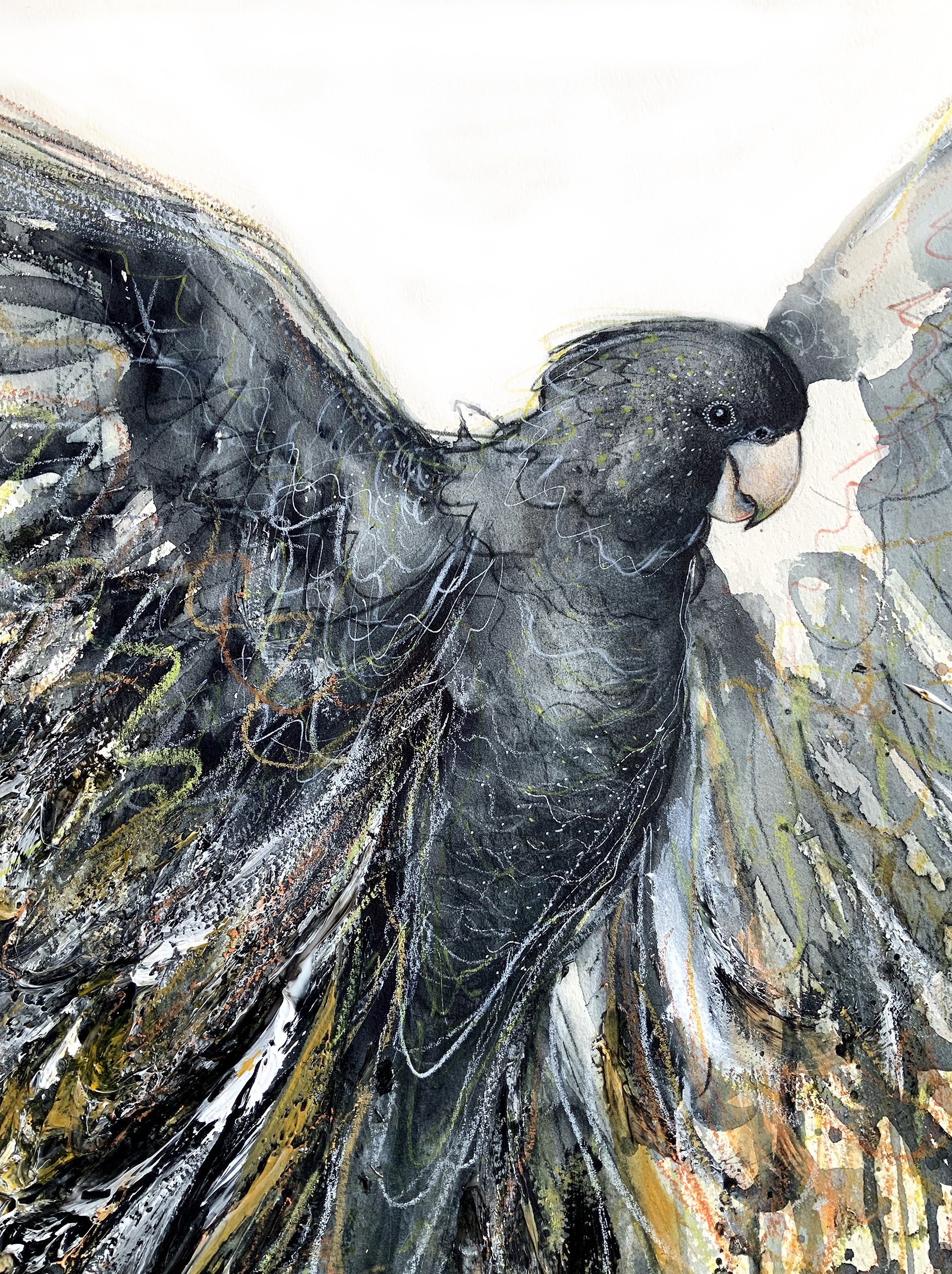 Sydney Artist Leni Kae Flight Of The Black Cockatoo 56x76 Zoom