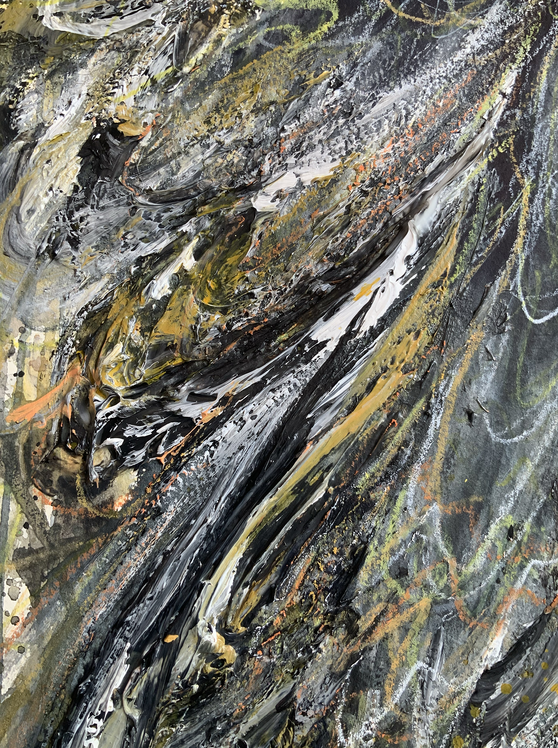 Sydney Artist Leni Kae Flight Of The Black Cockatoo 56x76 Zoom2