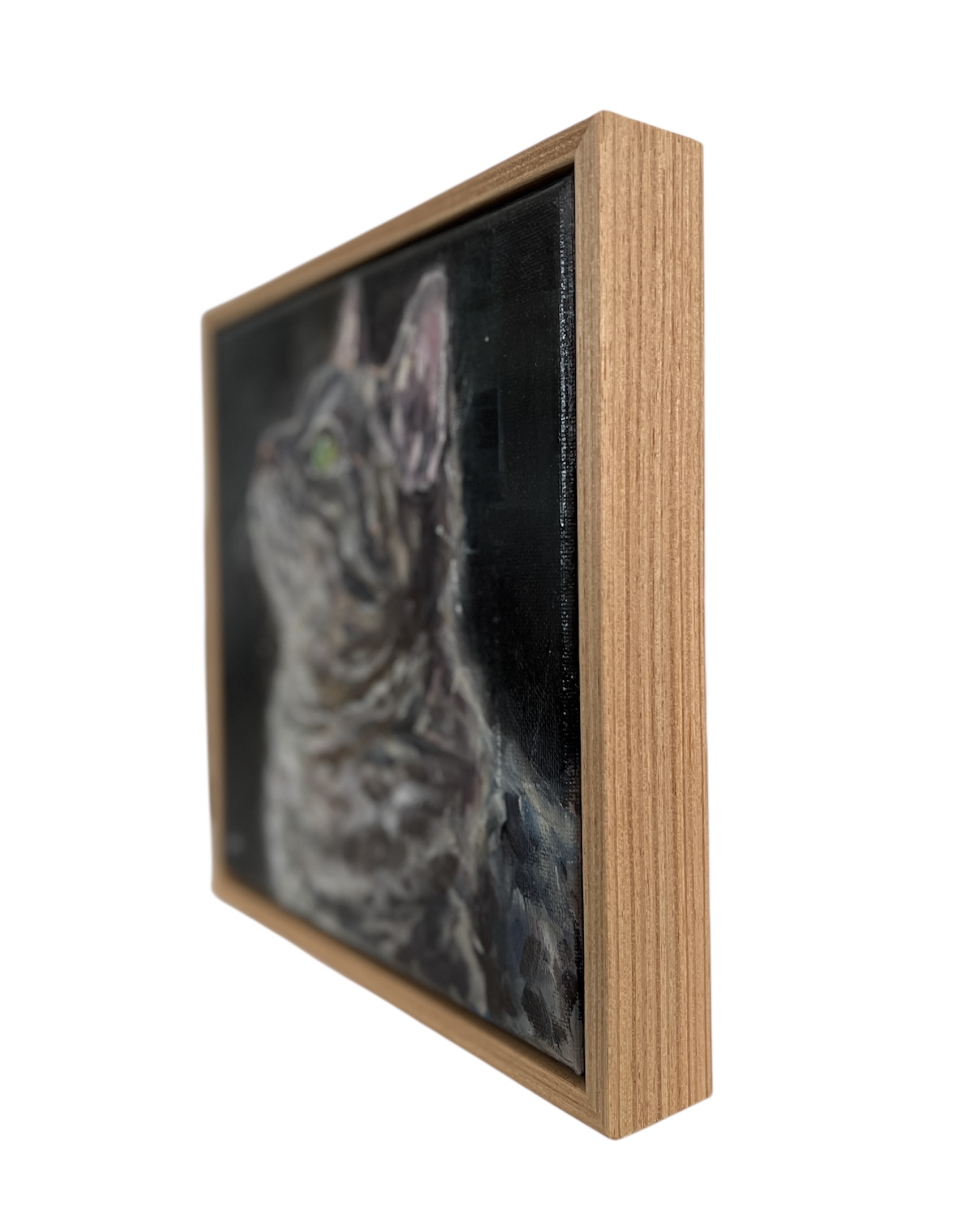 Photoroom 20251212 155411