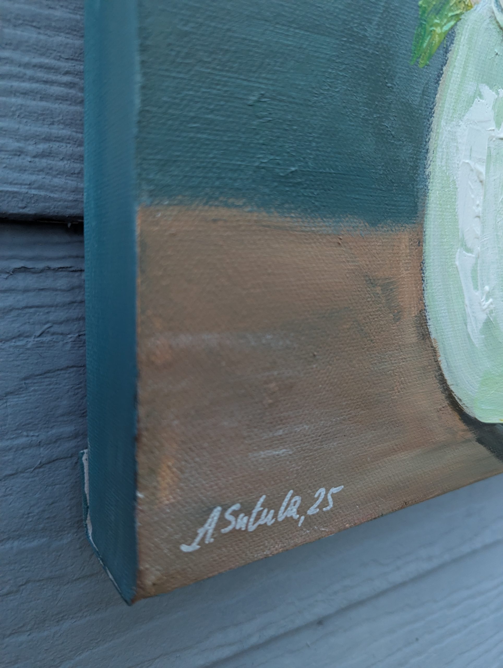 Pxl 20251117 081826533