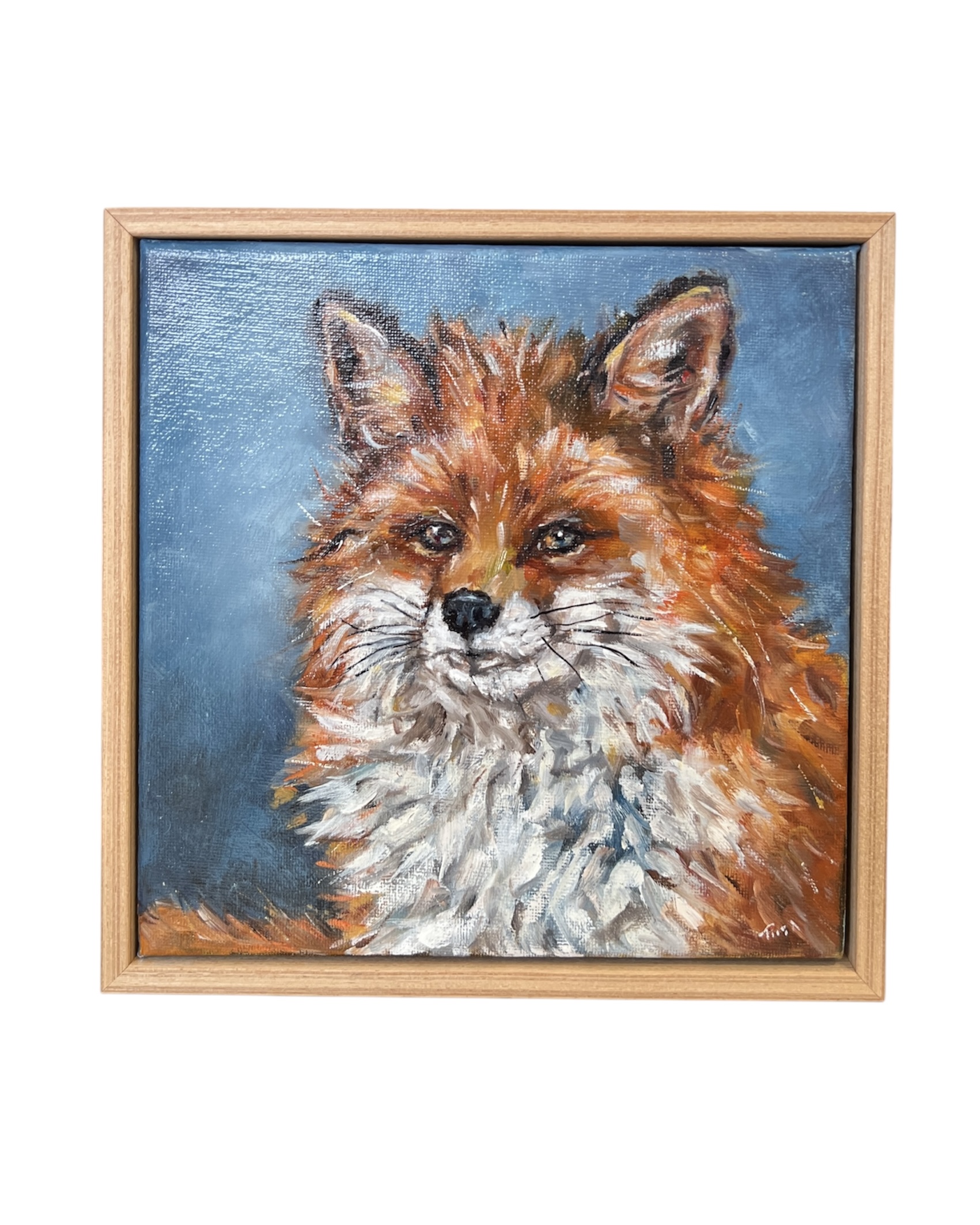 Photoroom 20251213 091740