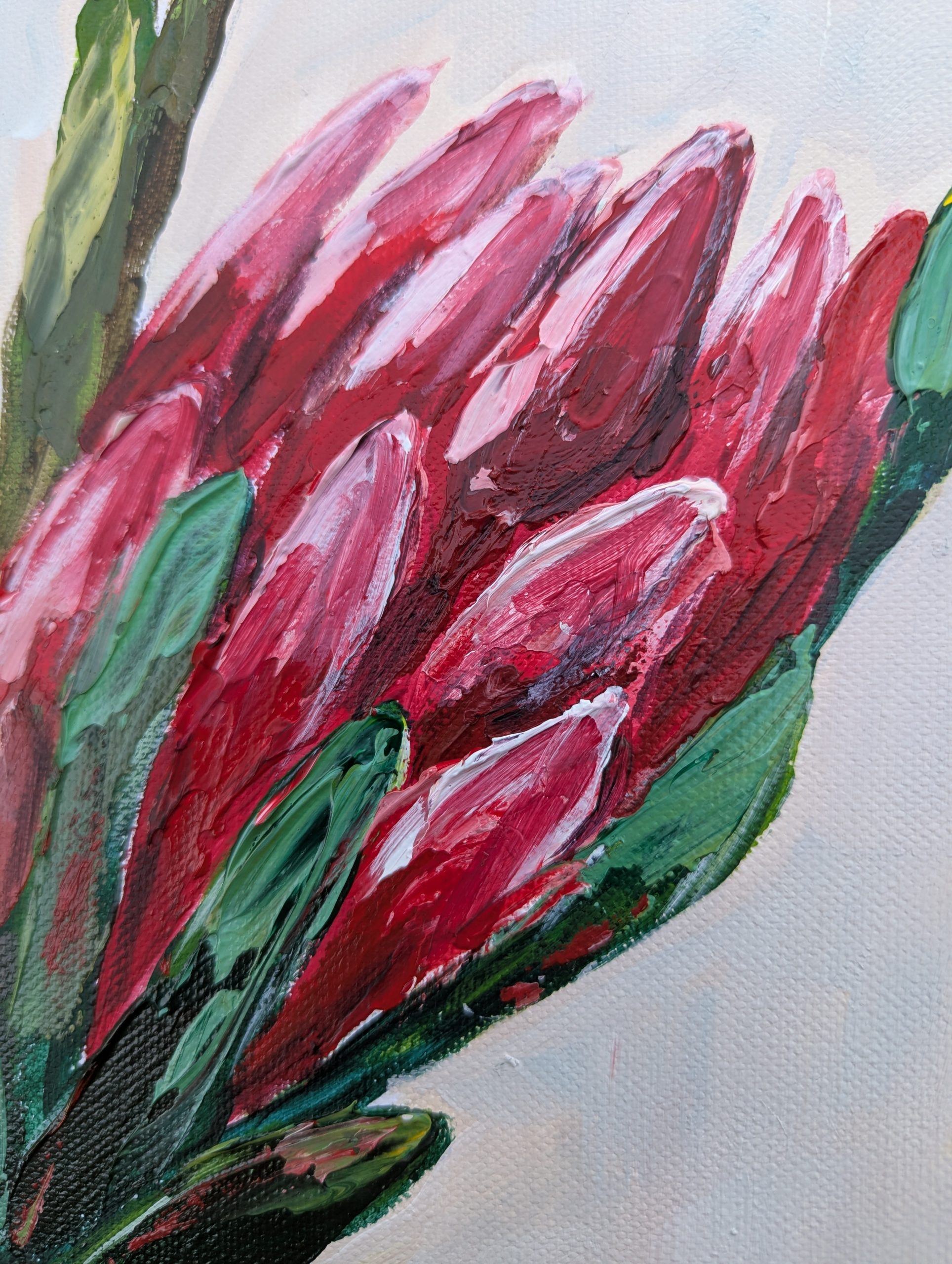 Pxl 20251124 074501106