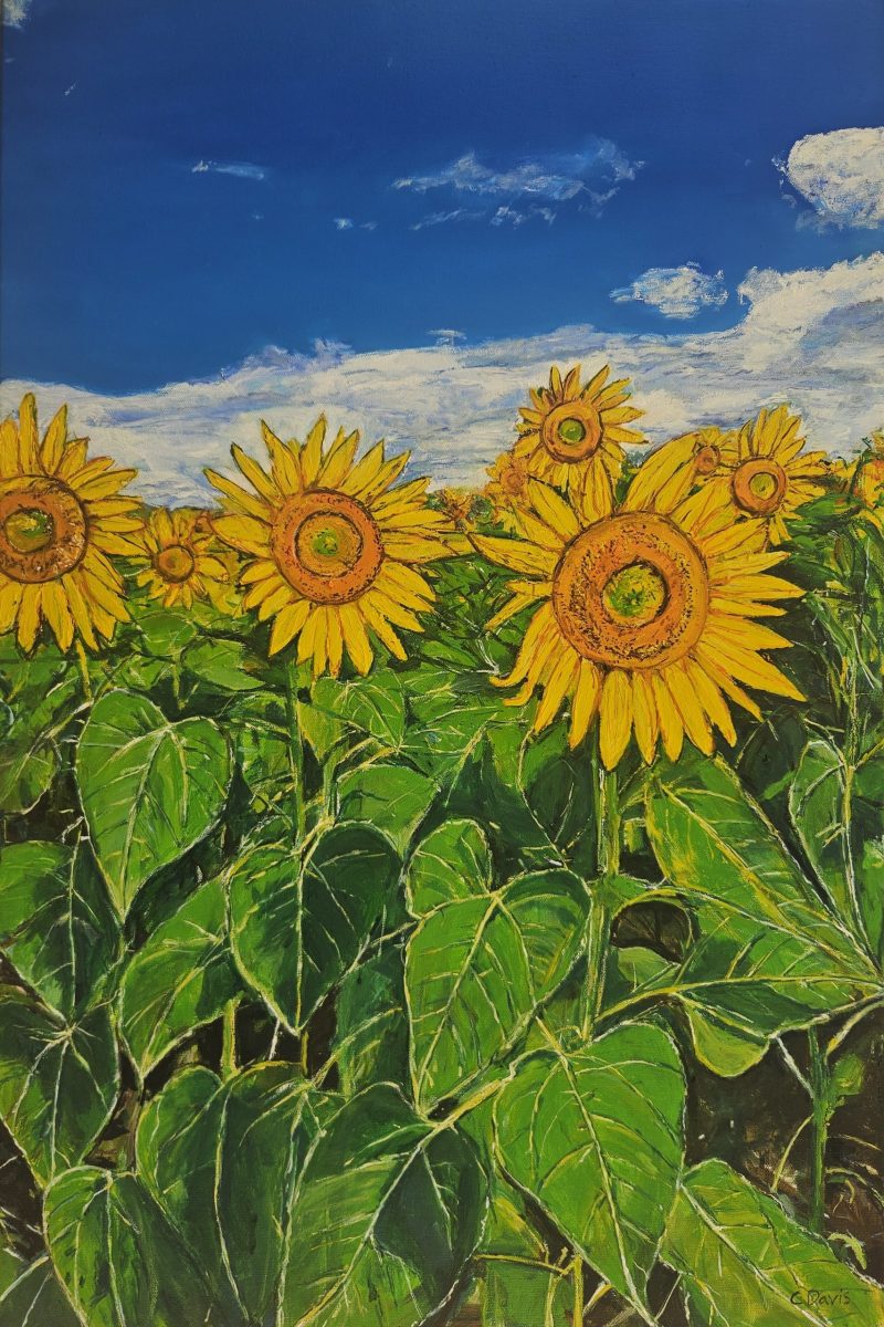 Sunflowers