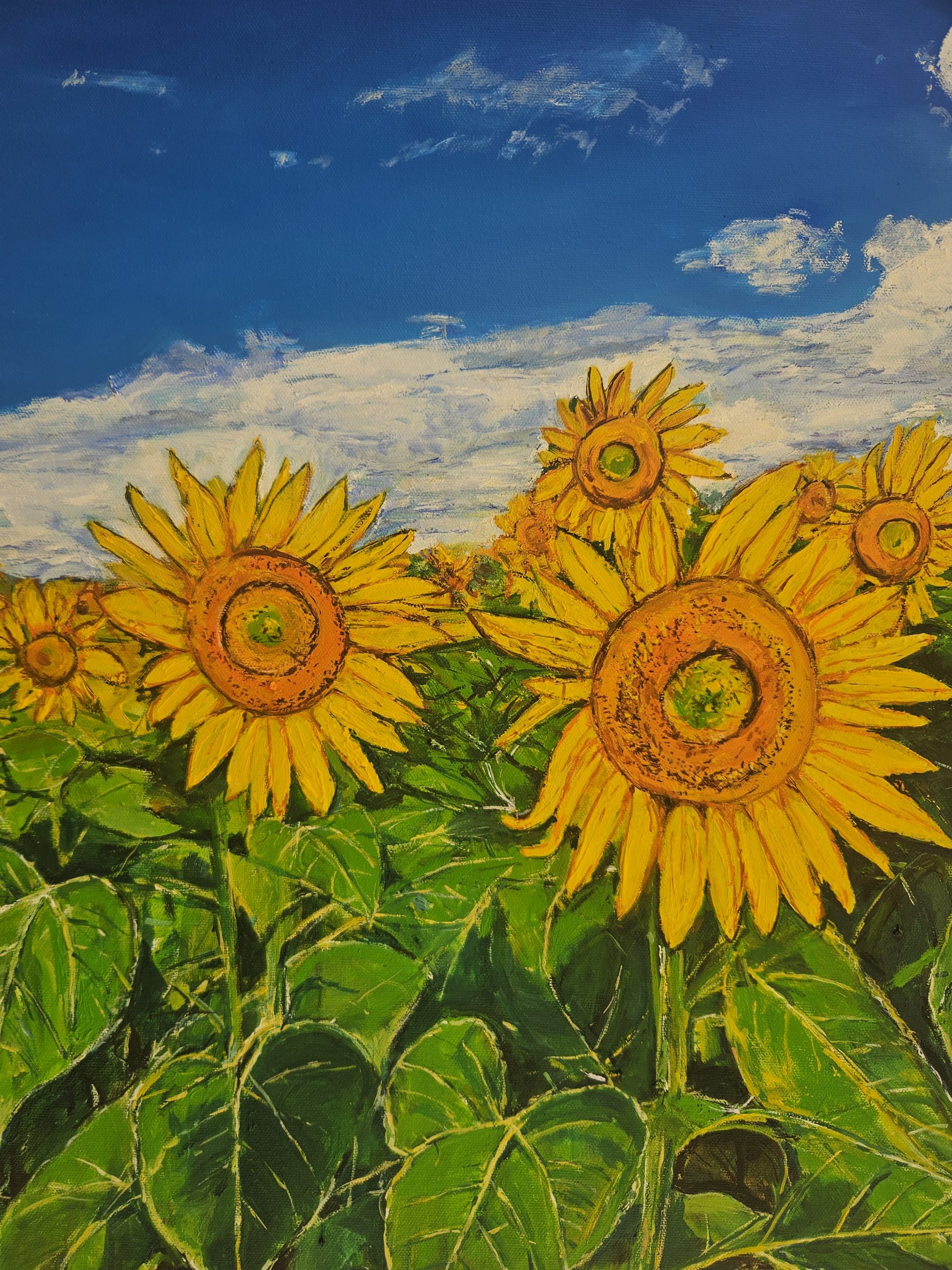 Sunflowers Details Jan 13th