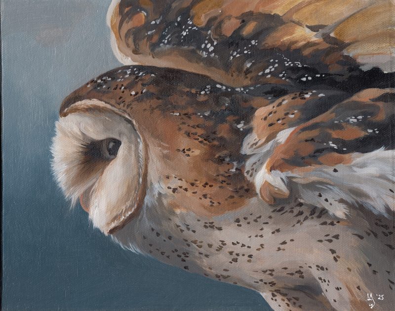 The Quiet Joy of Being