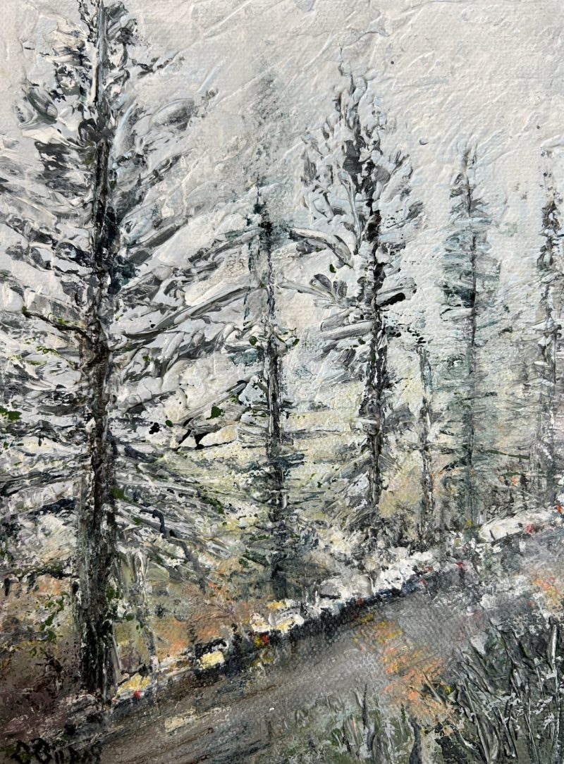 Norfolk Pines on a Rainy Day