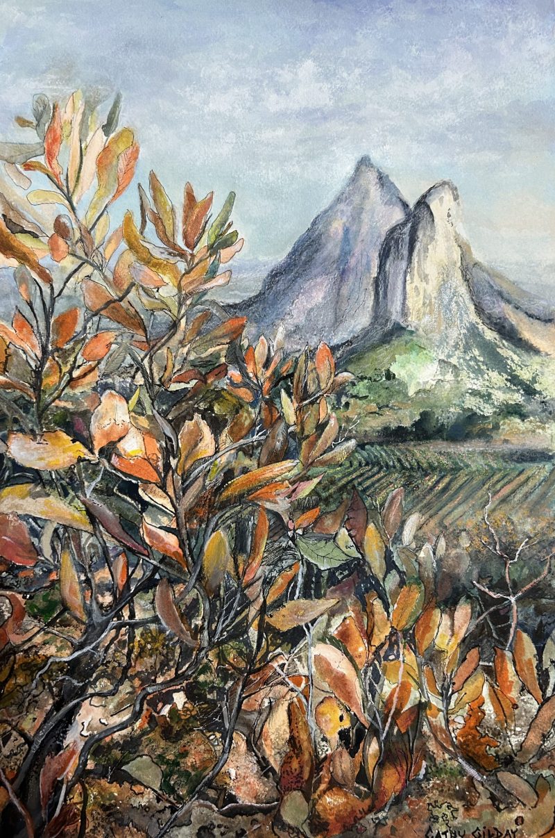 Glass House Mountains