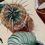 Afternoon Tipple Vanessamcmahonmaver 010 1800x720 Acf Cropped