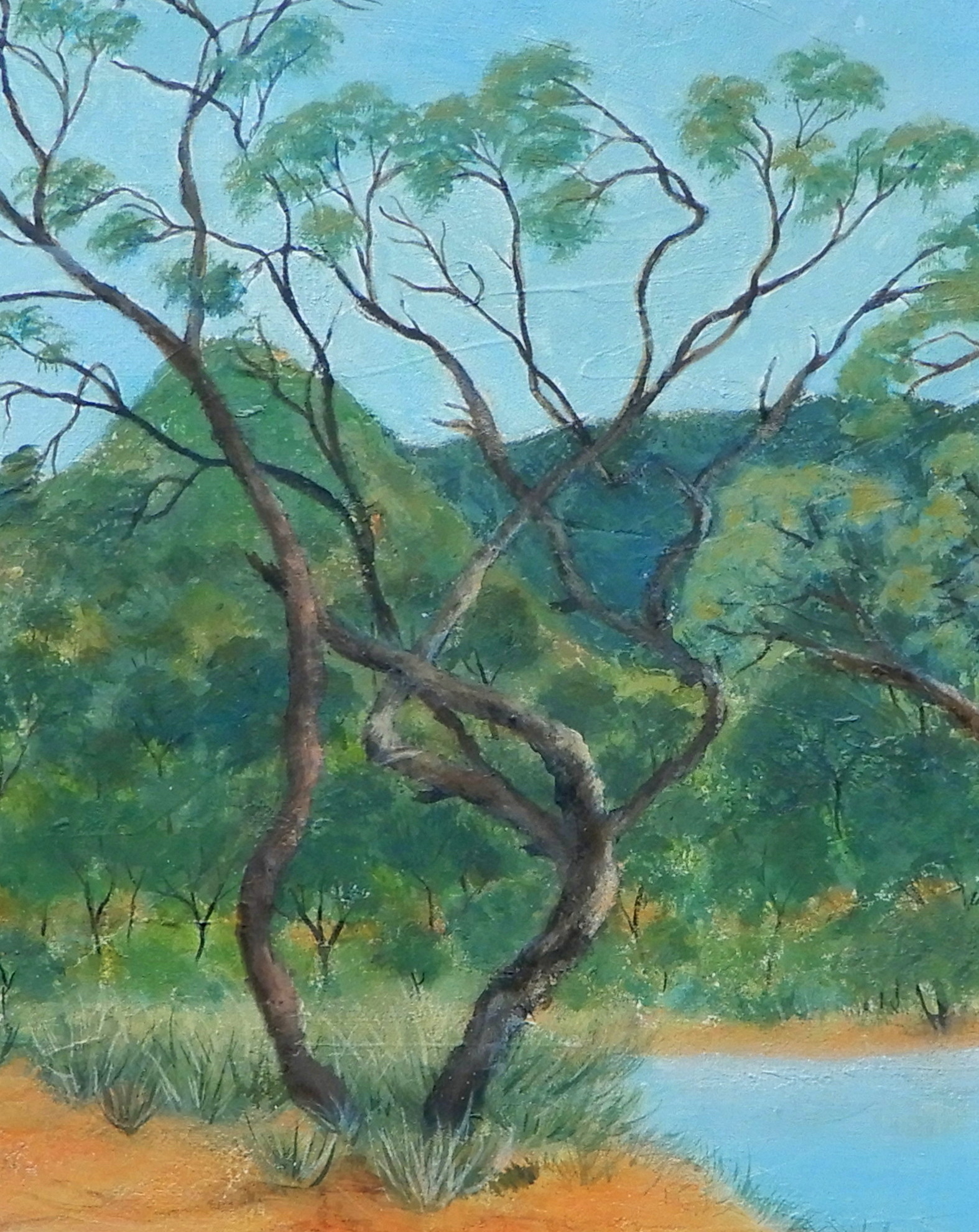 Doodie Herman Ilparpa Clay Pan Landscape 001