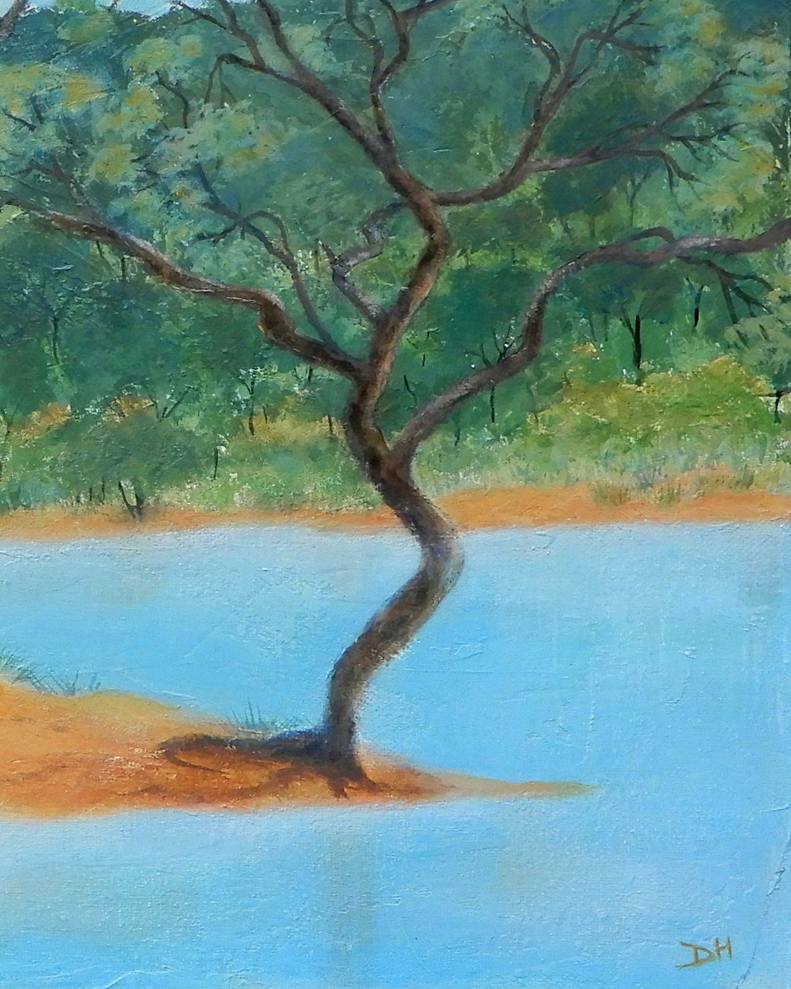 Doodie Herman Ilparpa Clay Pan Landscape 002