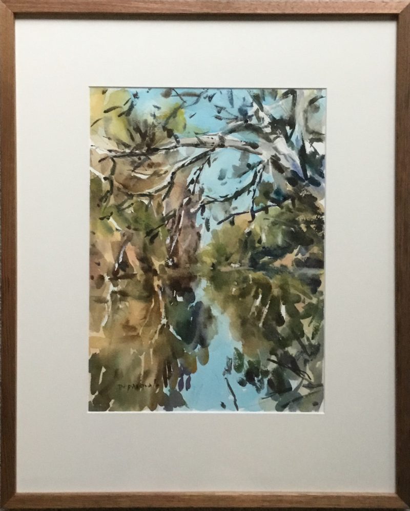 Reflections wetlands