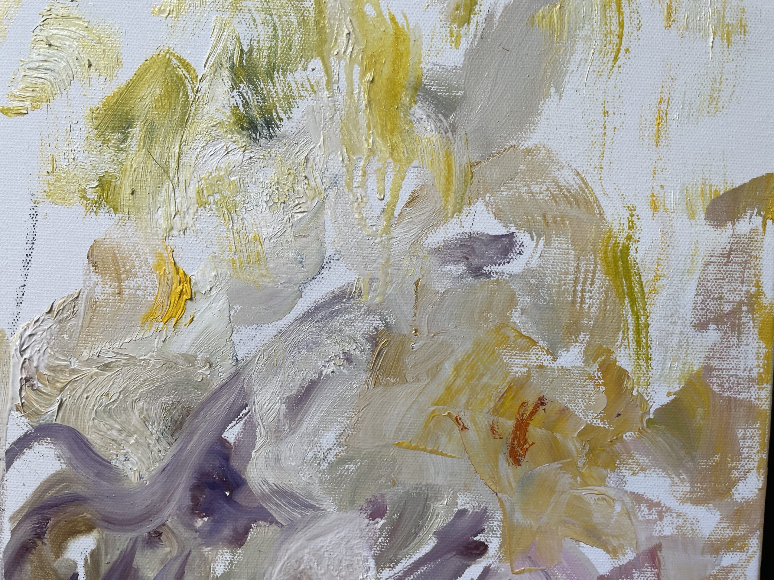 Fallen Iris Petals 3 Closeup 1