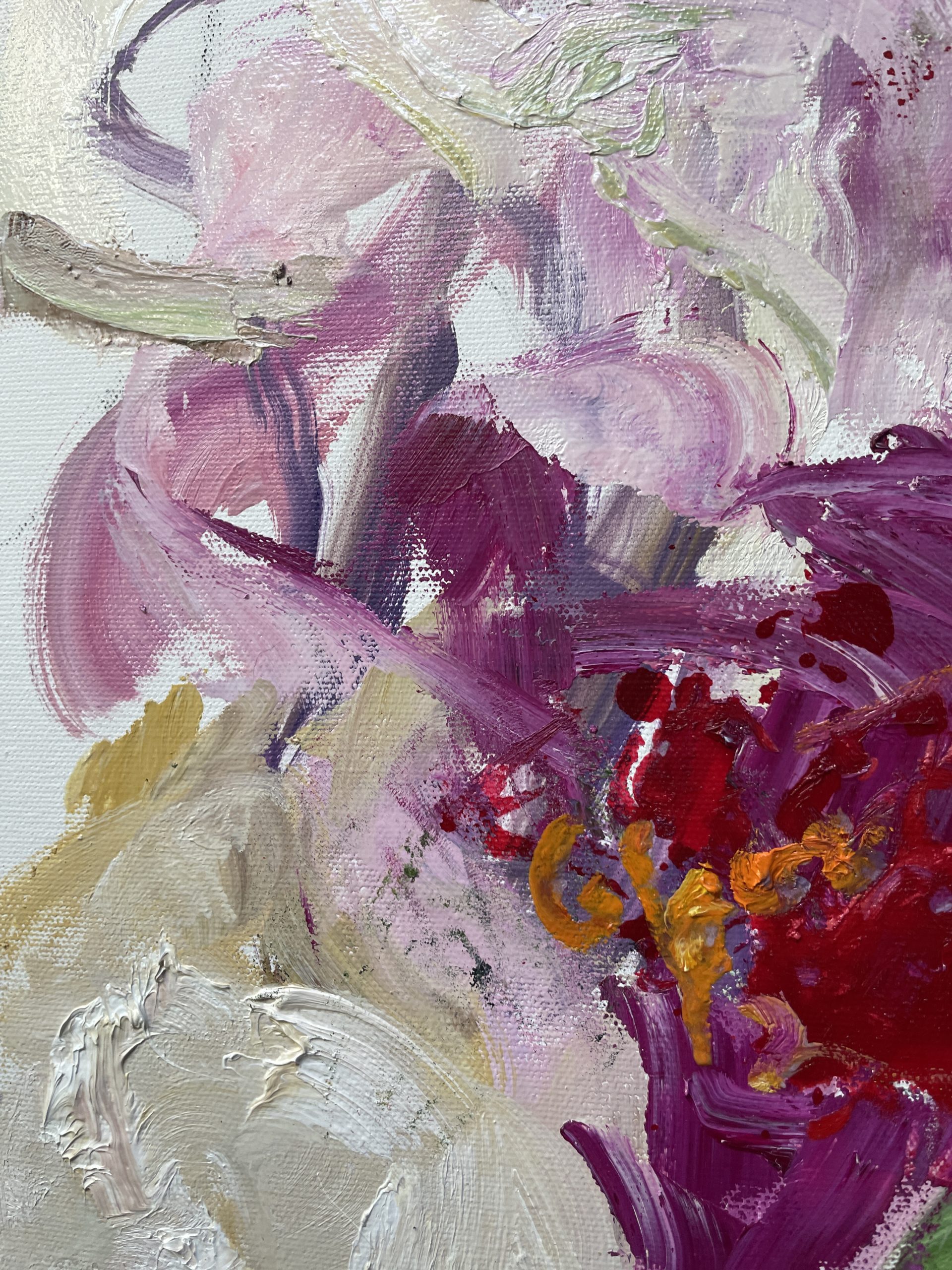 Fallen Iris Petals 3 Closeup 2