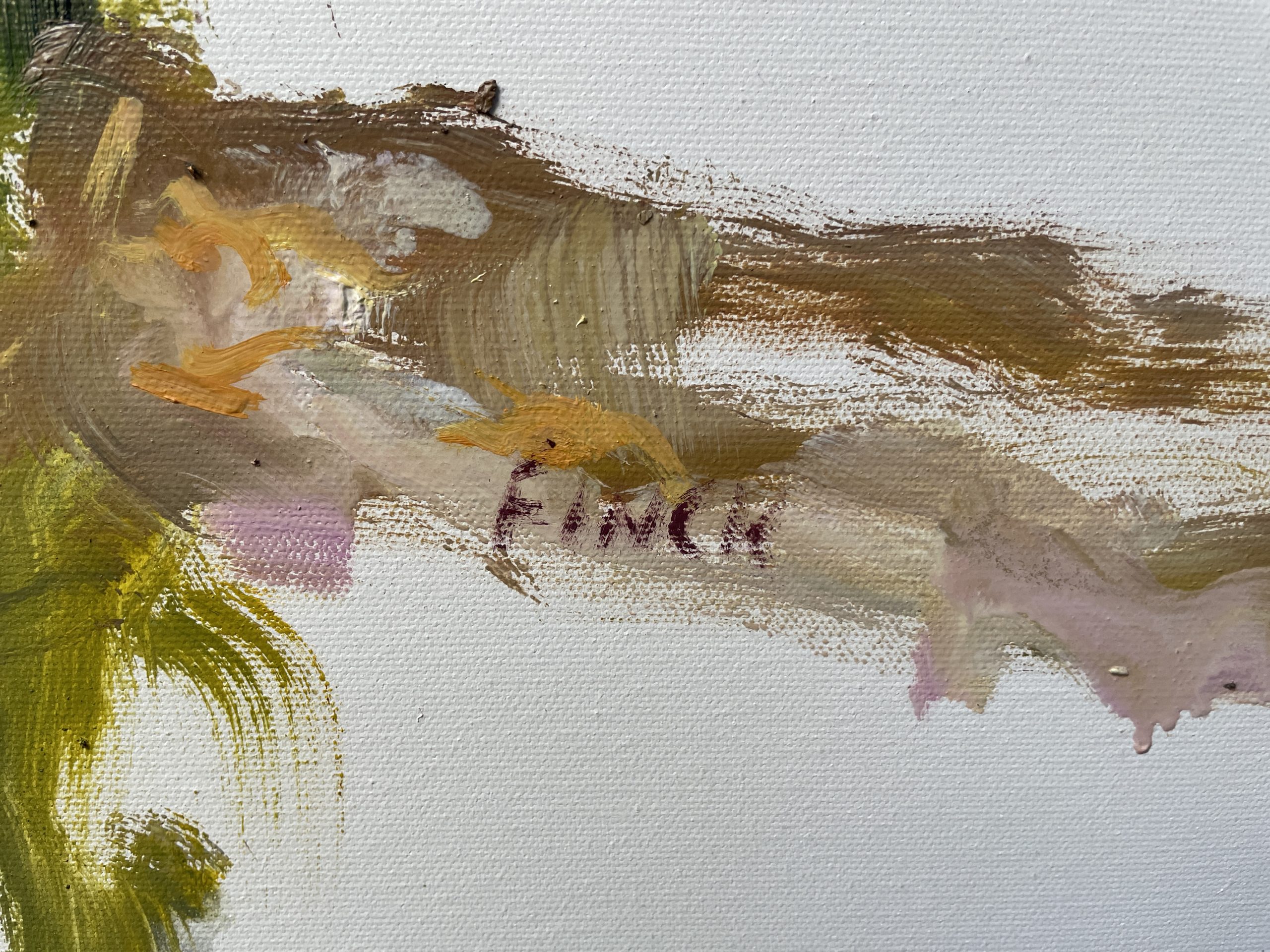 Fallen Iris Petals 3 Signature