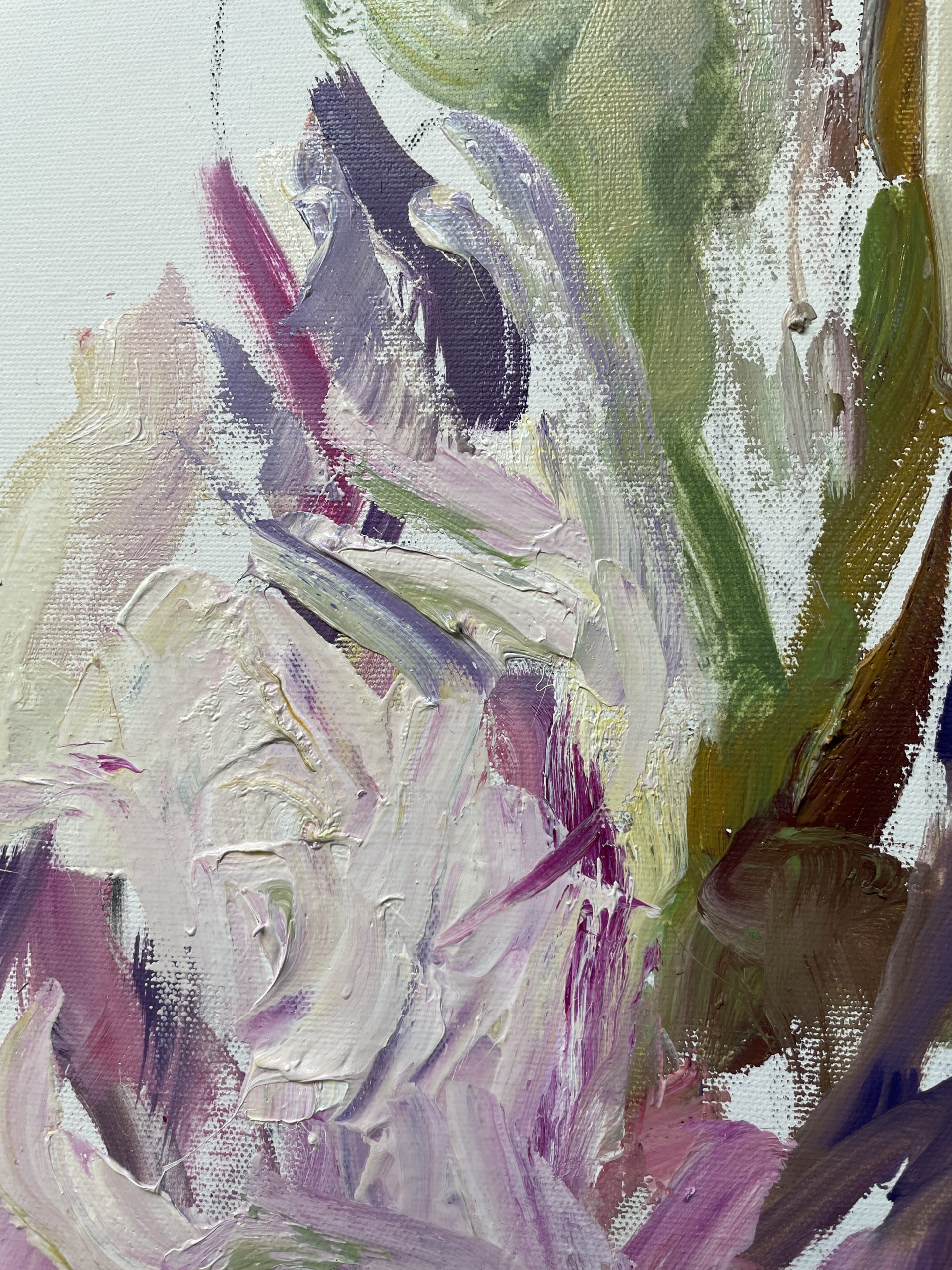 Fallen Iris Petals Closeup 3