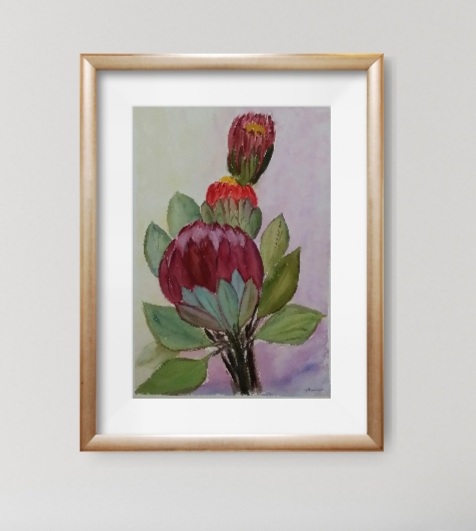 Waratahs Framed