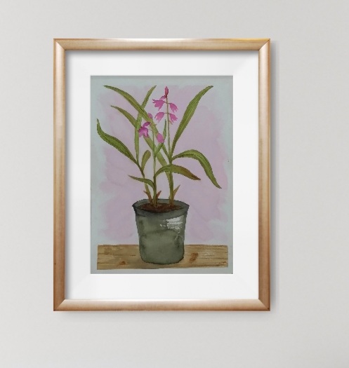 Pot Of Lillies Framed