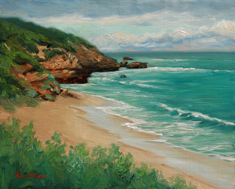 Sorrento Ocean beach