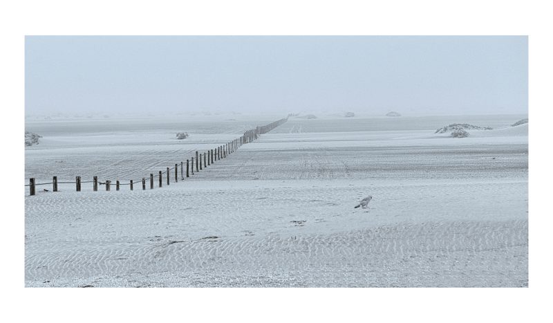 The Vanishing Line: Sandwich Harbour Salt Pans
