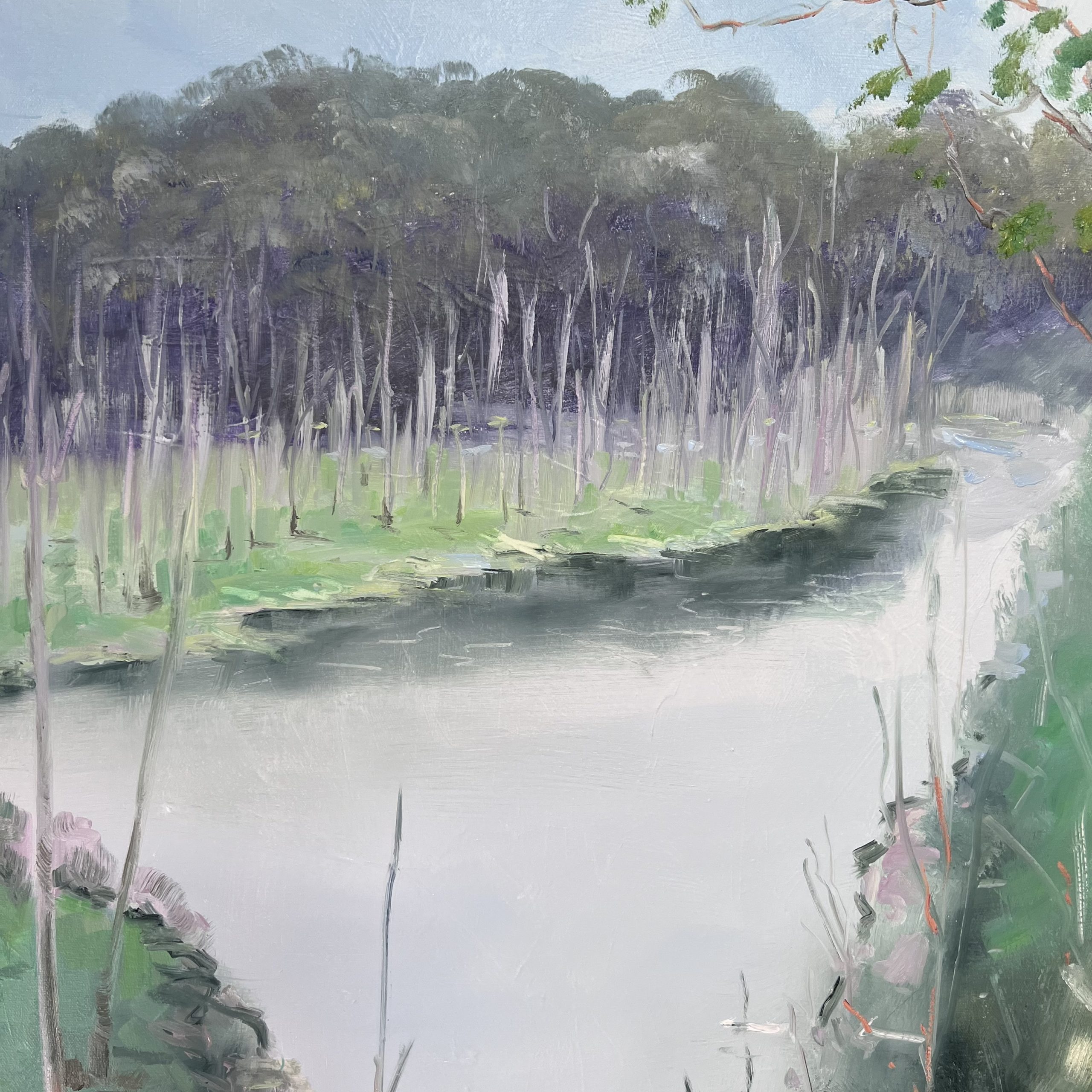 Dead Tree Marsh Close Up