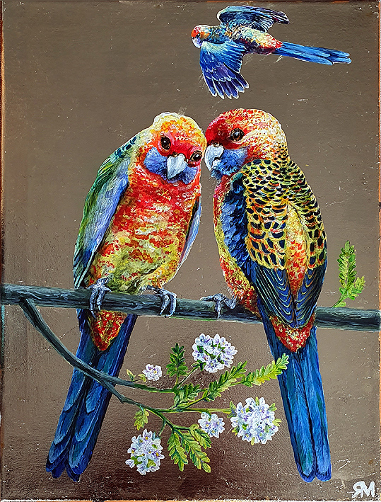 Adelaide parrots