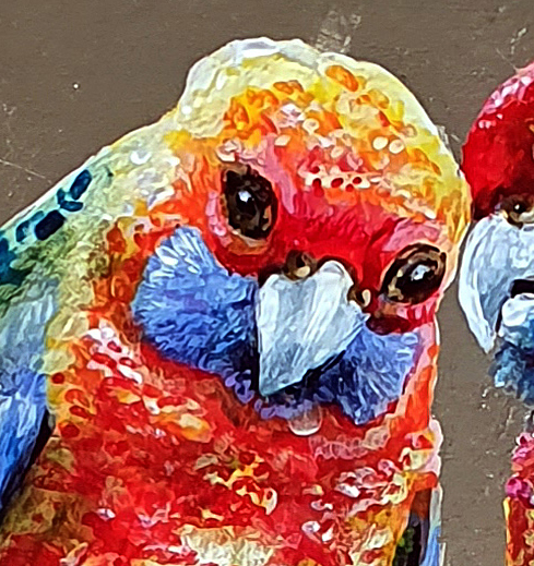 Adelaida Parrots Dit1