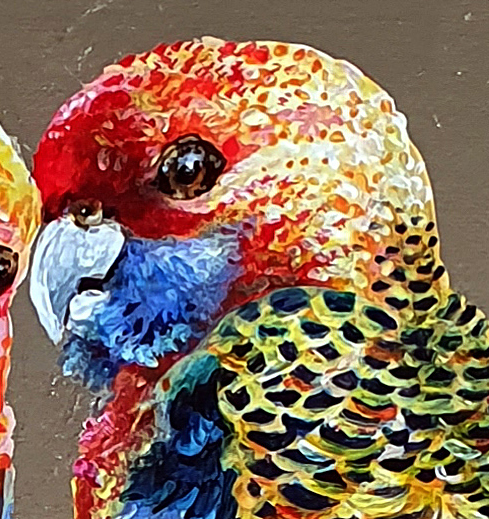 Adelaida Parrots Dit2