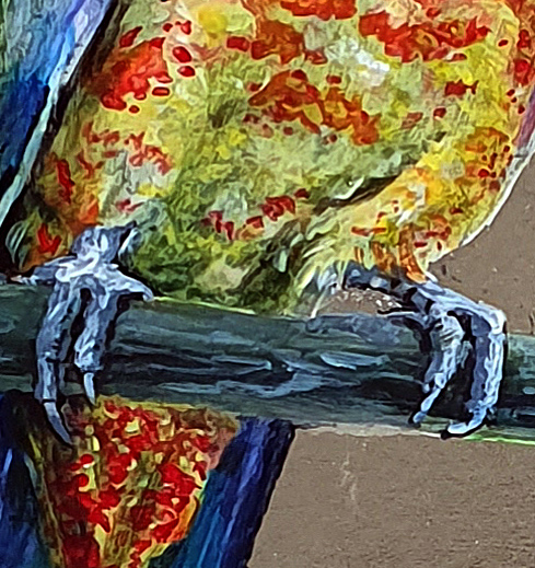 Adelaida Parrots Dit4