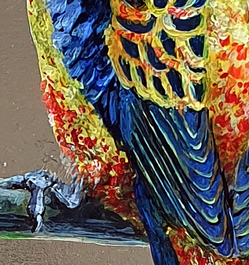 Adelaida Parrots Dit6