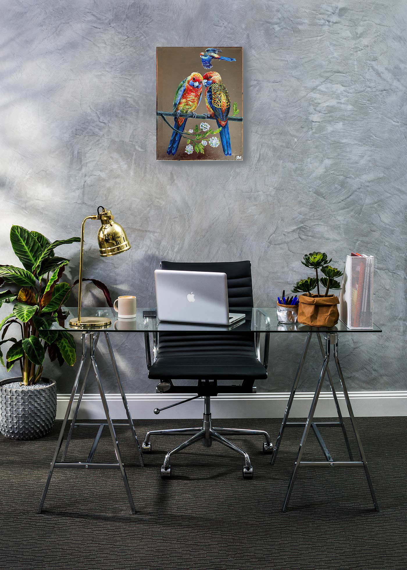 Adelaida Parrots Insitu1