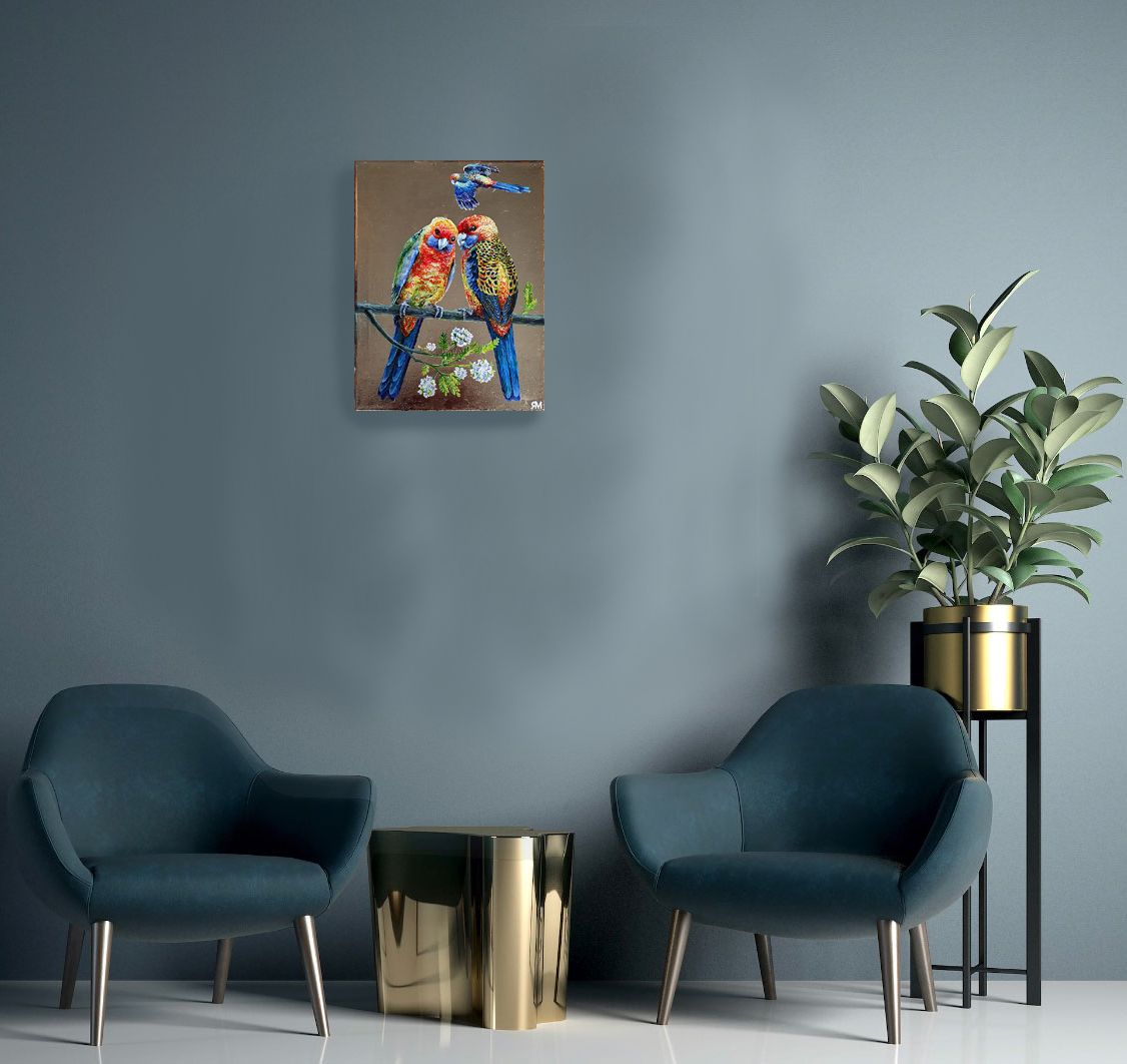 Adelaida Parrots Insitu2