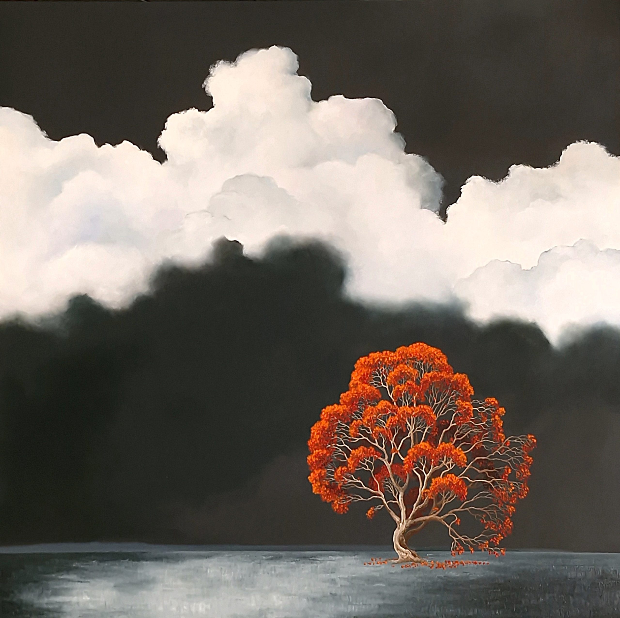 The Luminous Between Lucinda Leveille