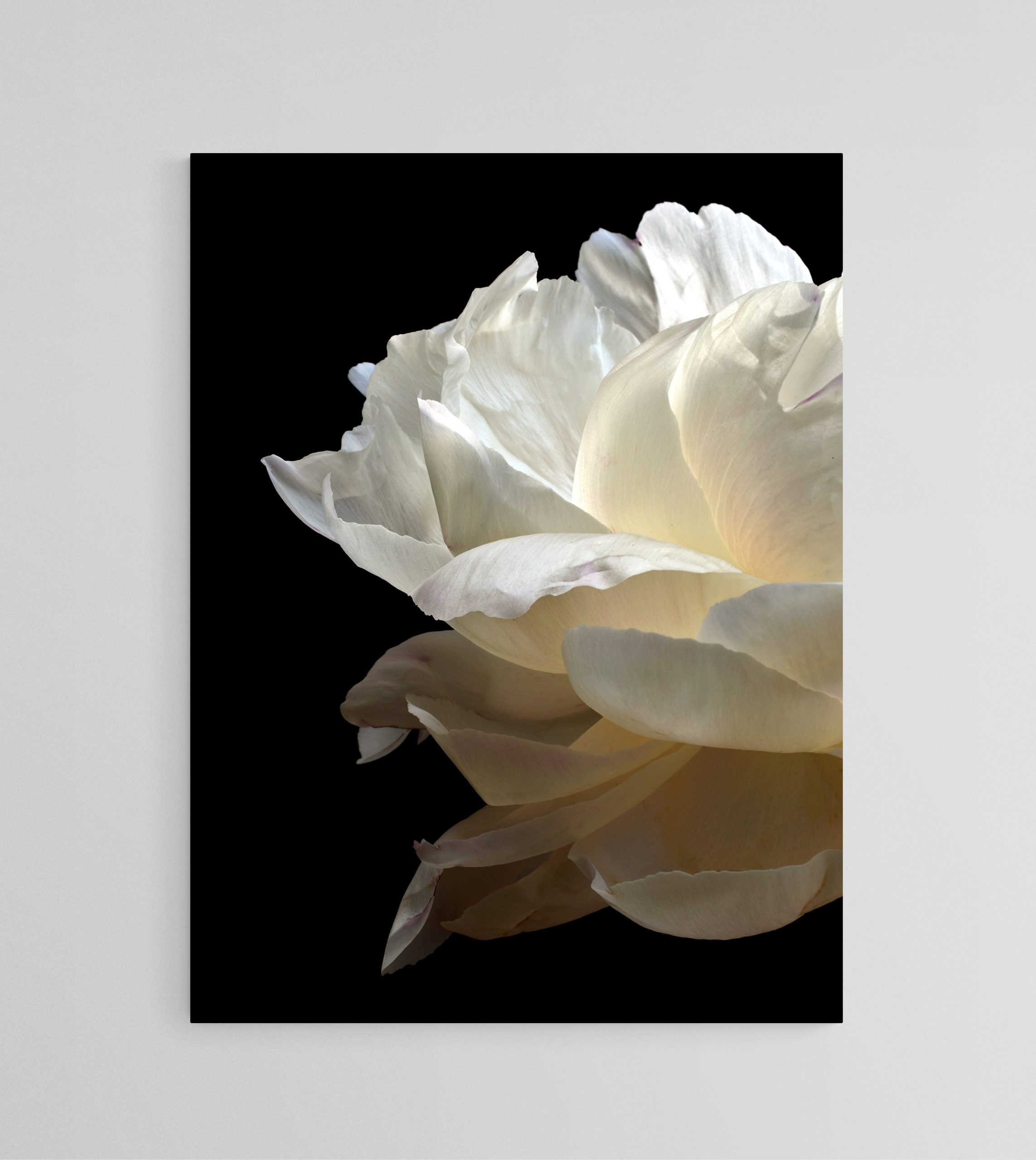 Empty Room 2025 12 24t130021.025