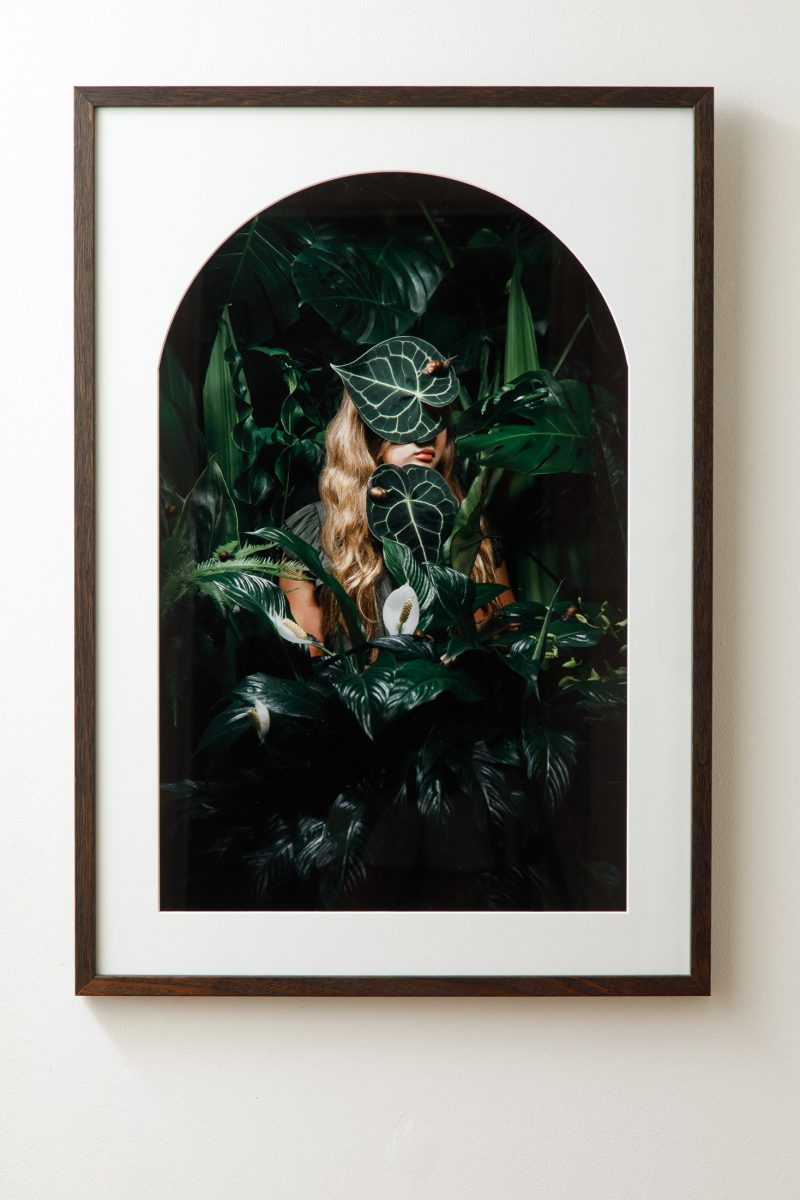 The Biophile No 2 – Framed