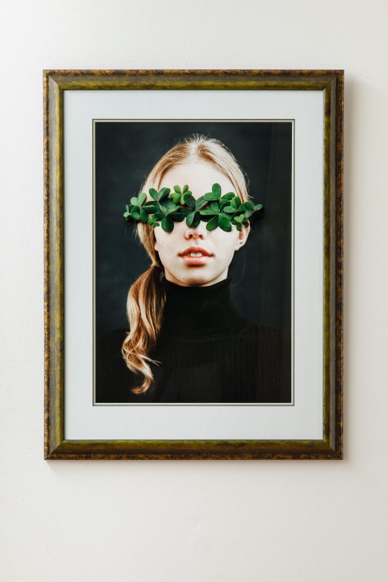 Oxalis – Florallegory – Framed