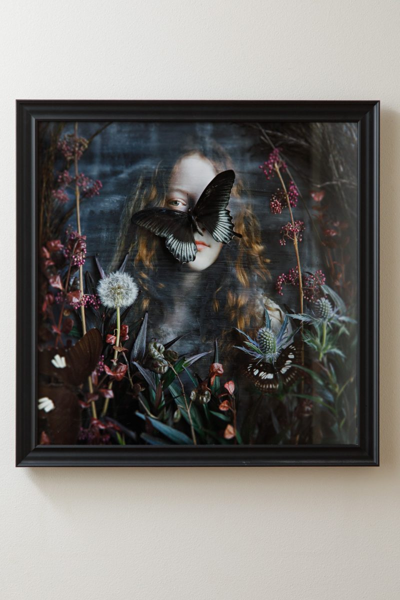 Greenhouse Reveries – Plate 6 – Framed