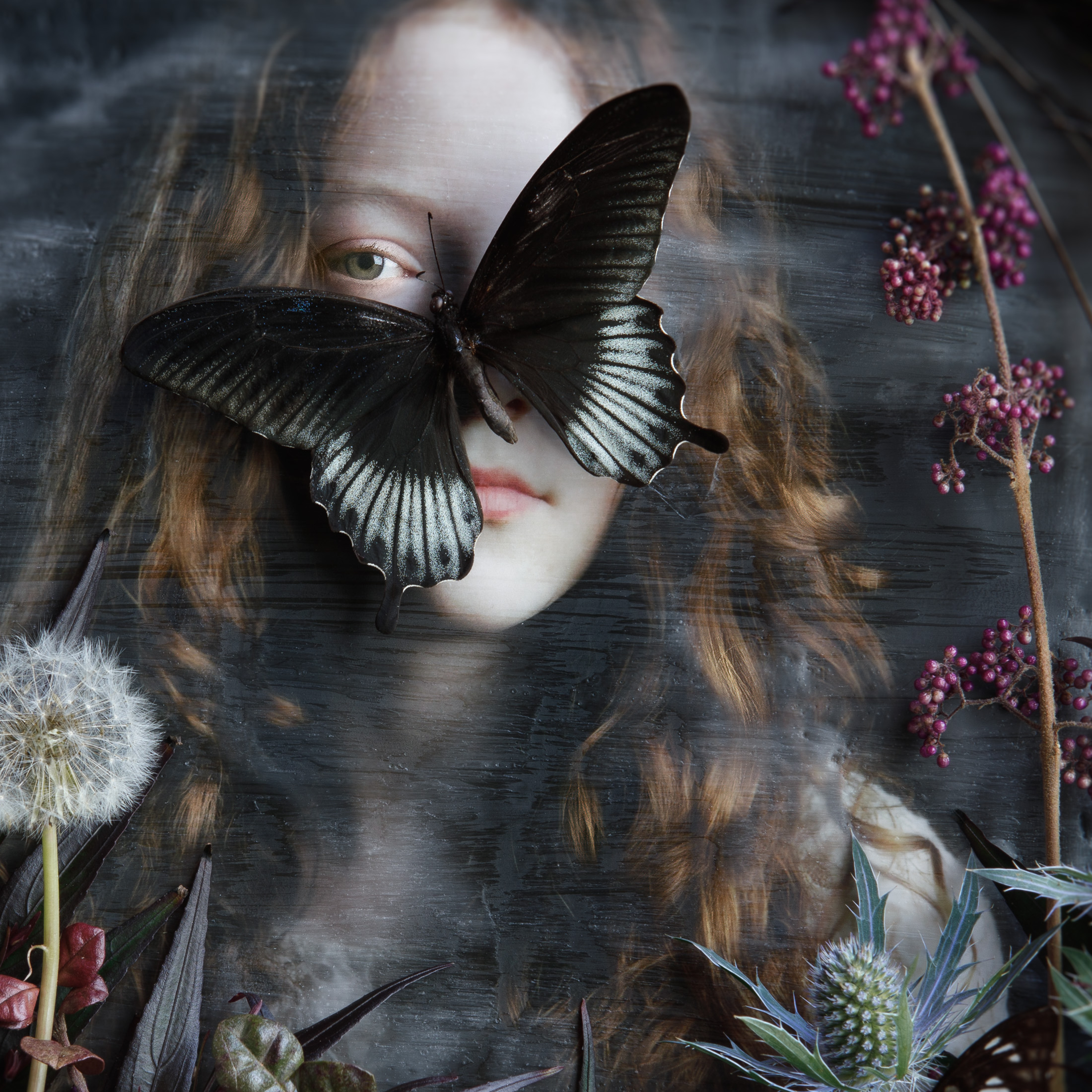 Greenhouse Reveries Plate 6 Detail 