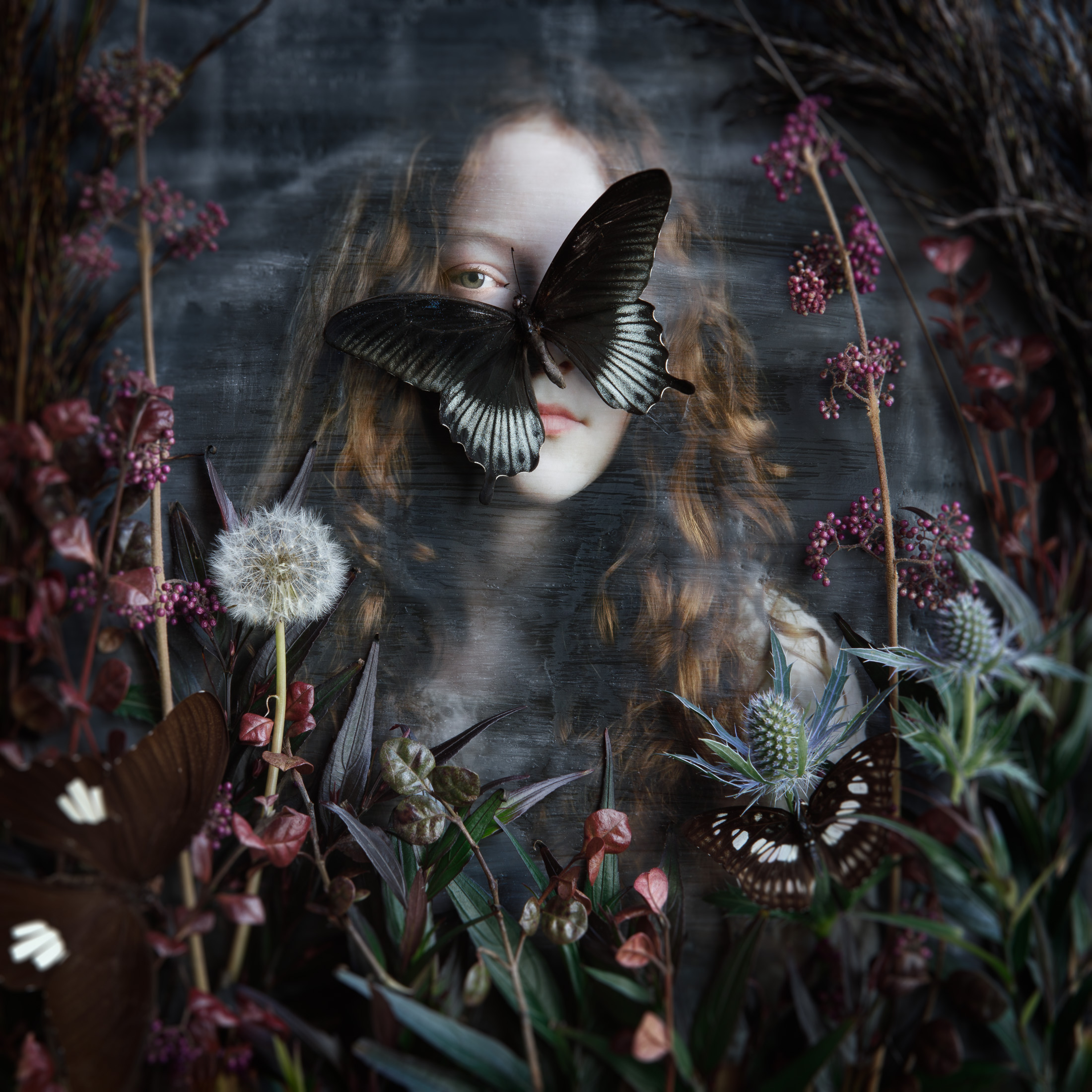 Greenhouse Reveries Plate 6 Web