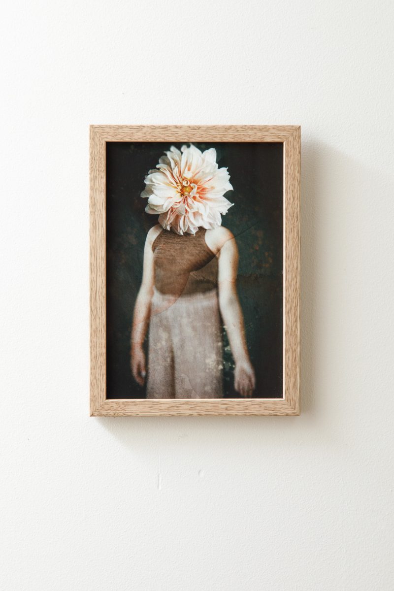 My Dahlia – Florallegory II – Framed
