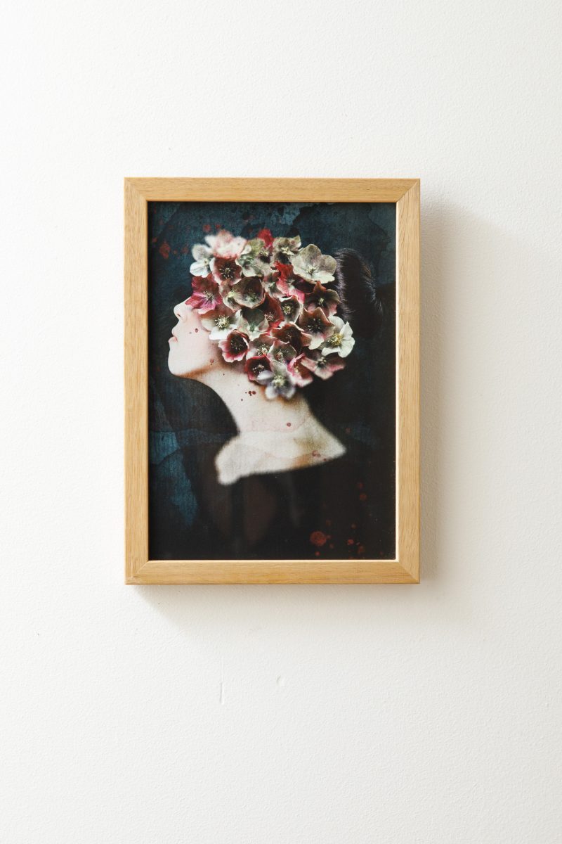 Veiled Hellebores – Florallegory II – Framed